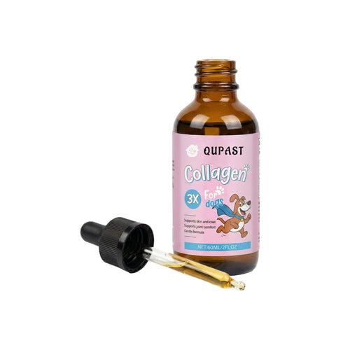 Qupast Premium Liquid Collagen