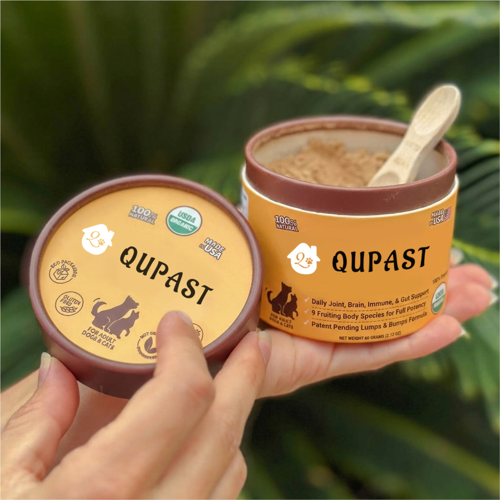 The Supplement For Dogs With Lumps & Bumps Limited Time: Give Your Dog Extra Care Today ⏳🐶.