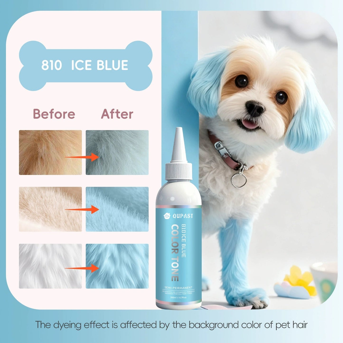 🐶🐾Let Your Pet Shine in Every Color of the Rainbow!🌈