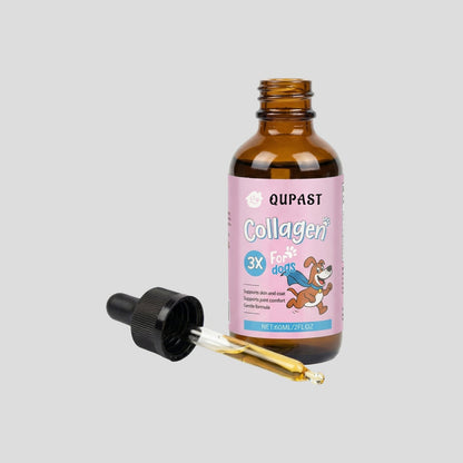 Qupast Premium Liquid Collagen