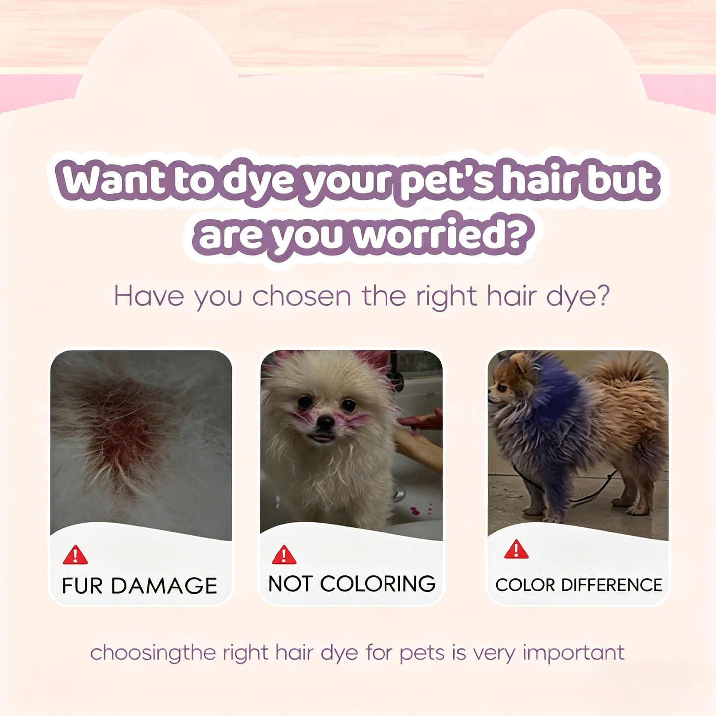 🐶🐾Let Your Pet Shine in Every Color of the Rainbow!🌈