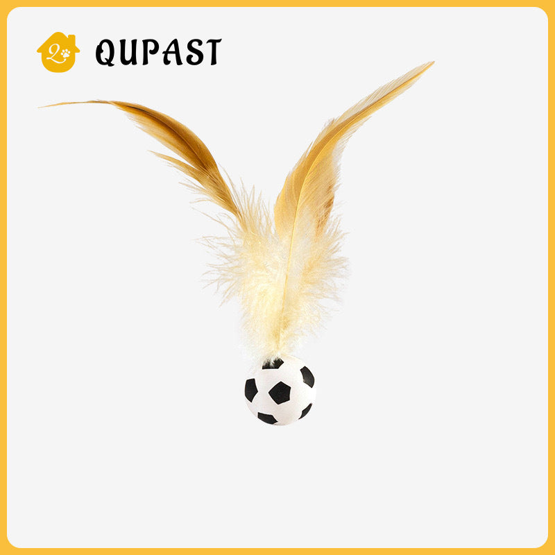 Cats football badminton 3
