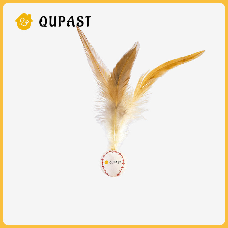 Cat baseball badminton 3