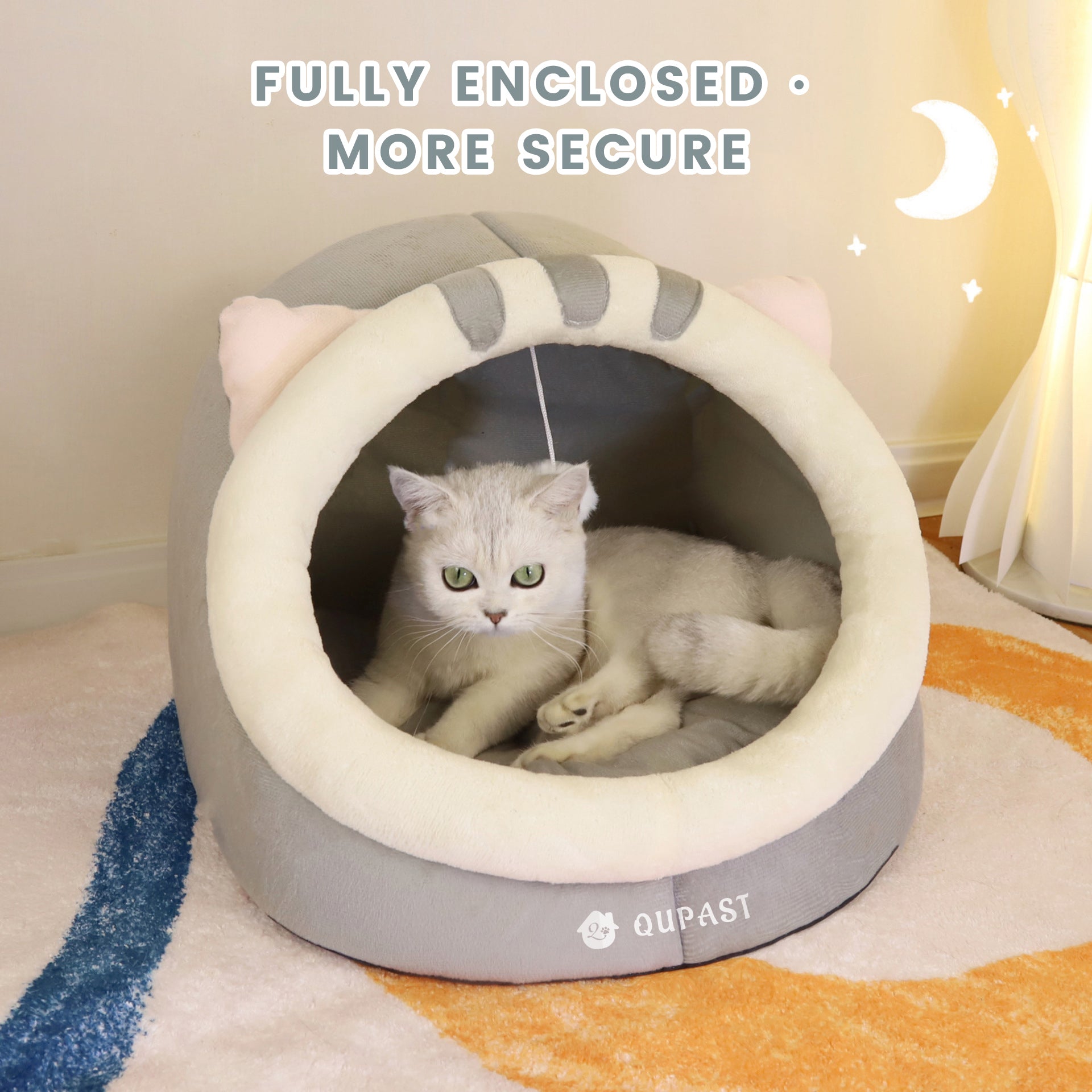 Soft gray cat + soft cushion