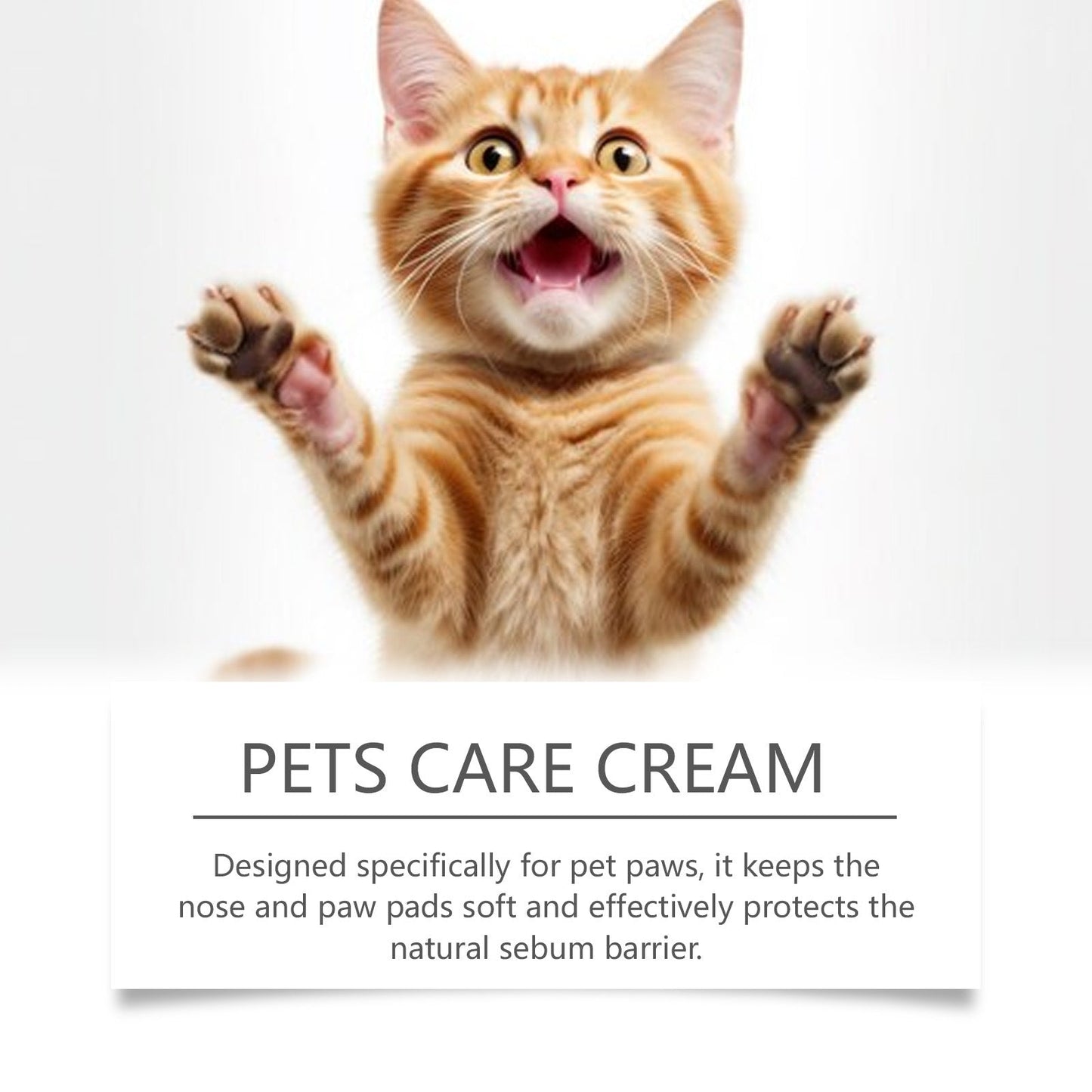 🐾 Dry Paw Rescue — Soothe, Protect & Moisturize Your Pet’s Paws ✨