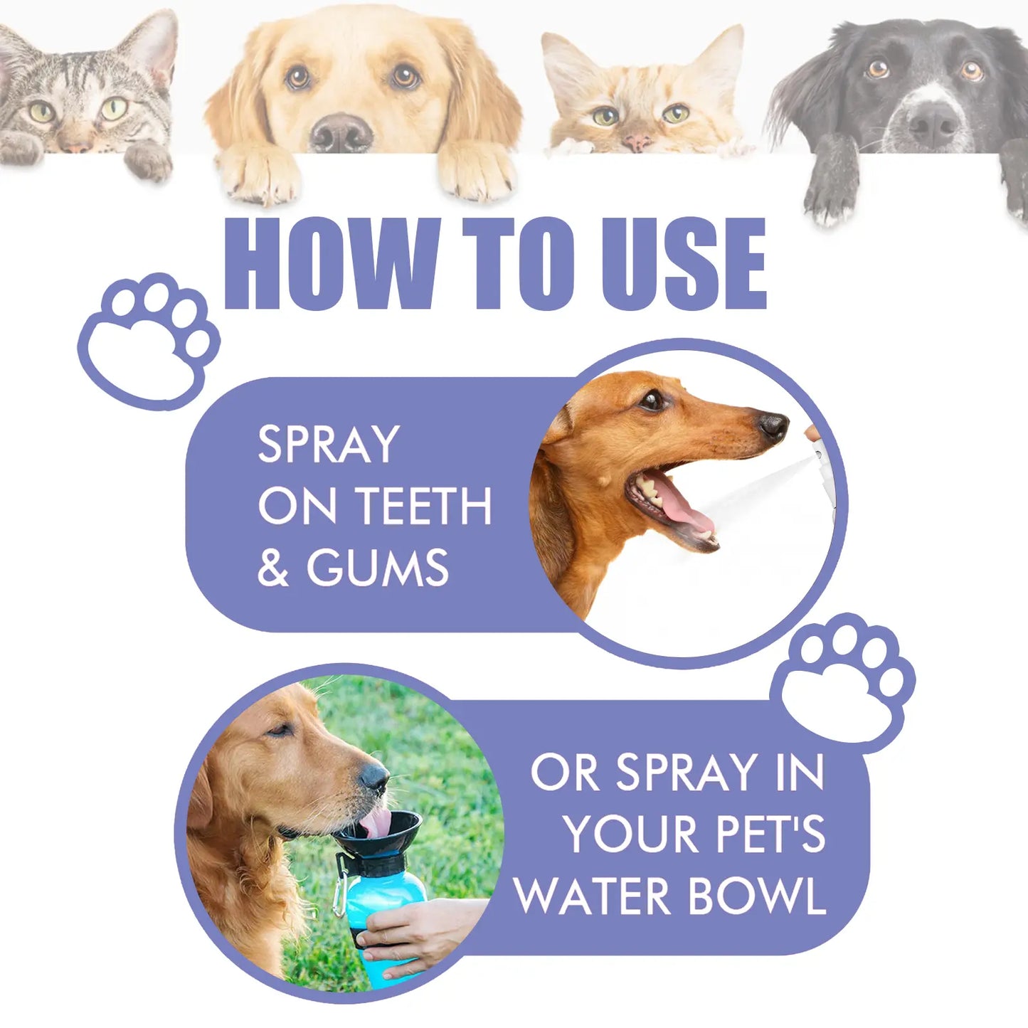 No-Brushing Oral Care Spray for Dogs & Cats
