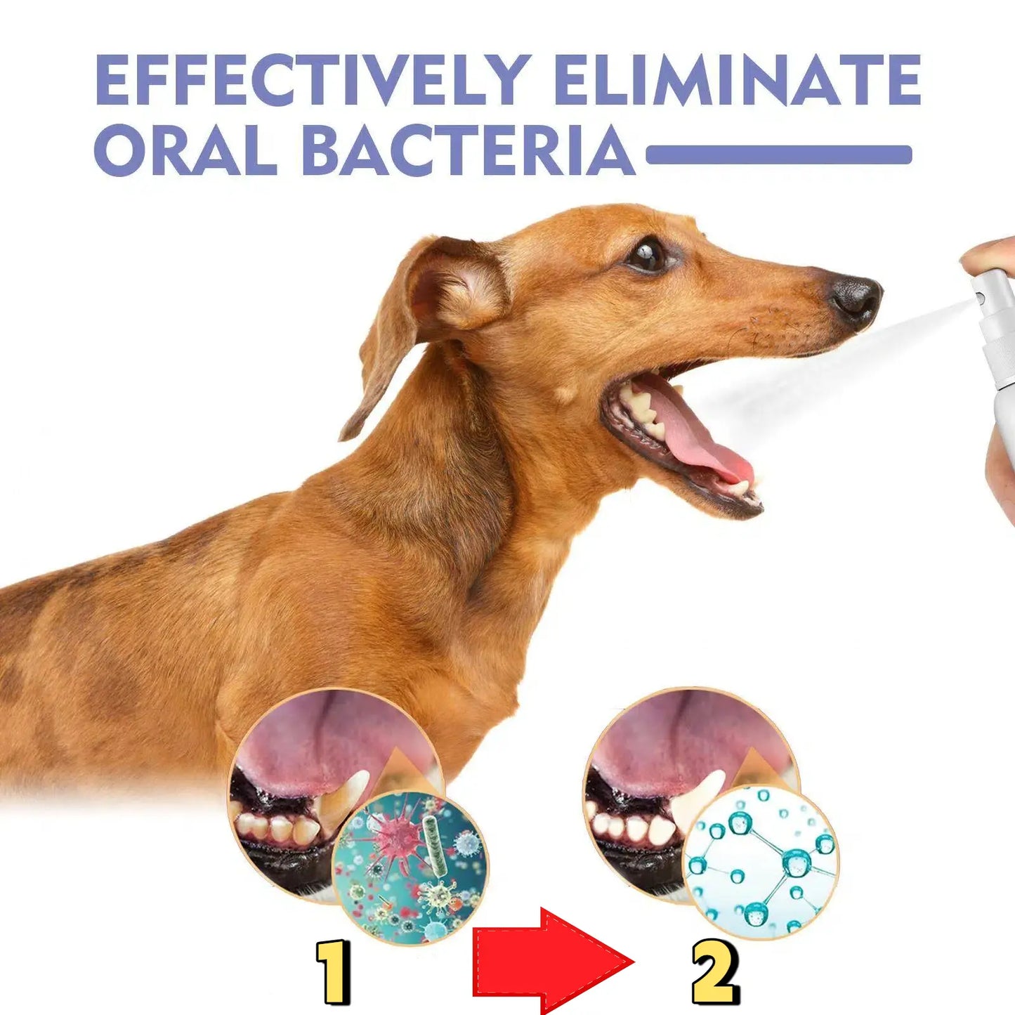 No-Brushing Oral Care Spray for Dogs & Cats