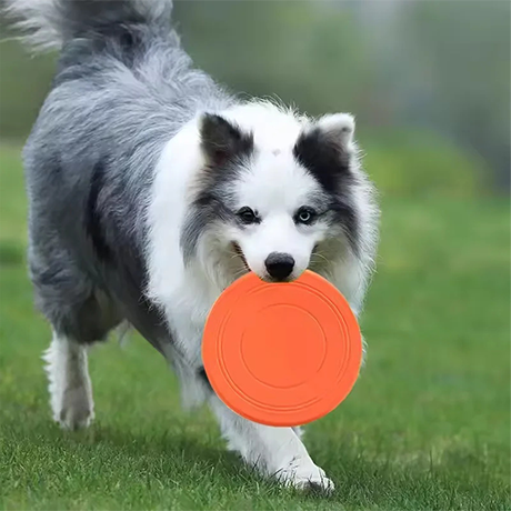 Flexible Rubber Dog Frisbee Disc – Soft-Edge, Non-Slip & Bite-Safe Fetch Toy