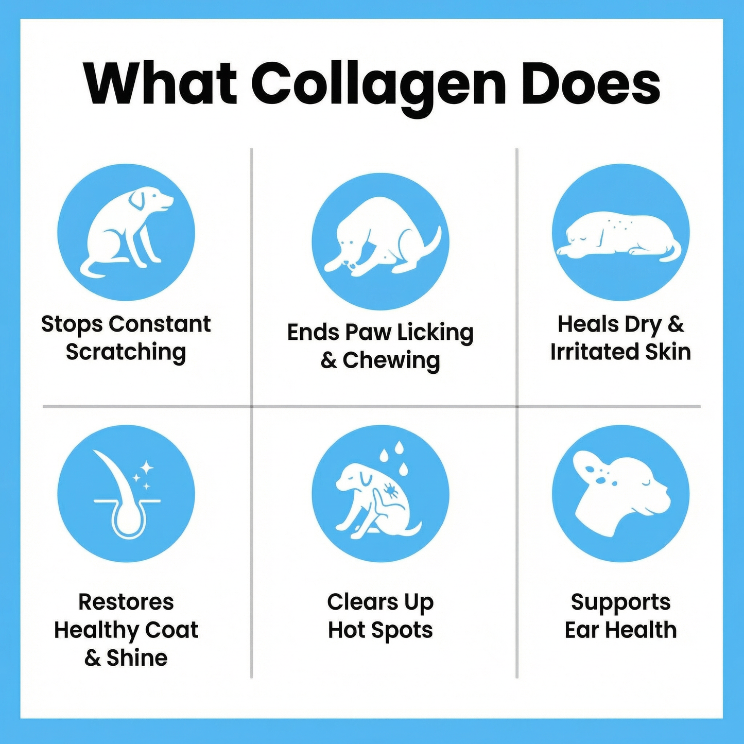 Qupast Premium Liquid Collagen