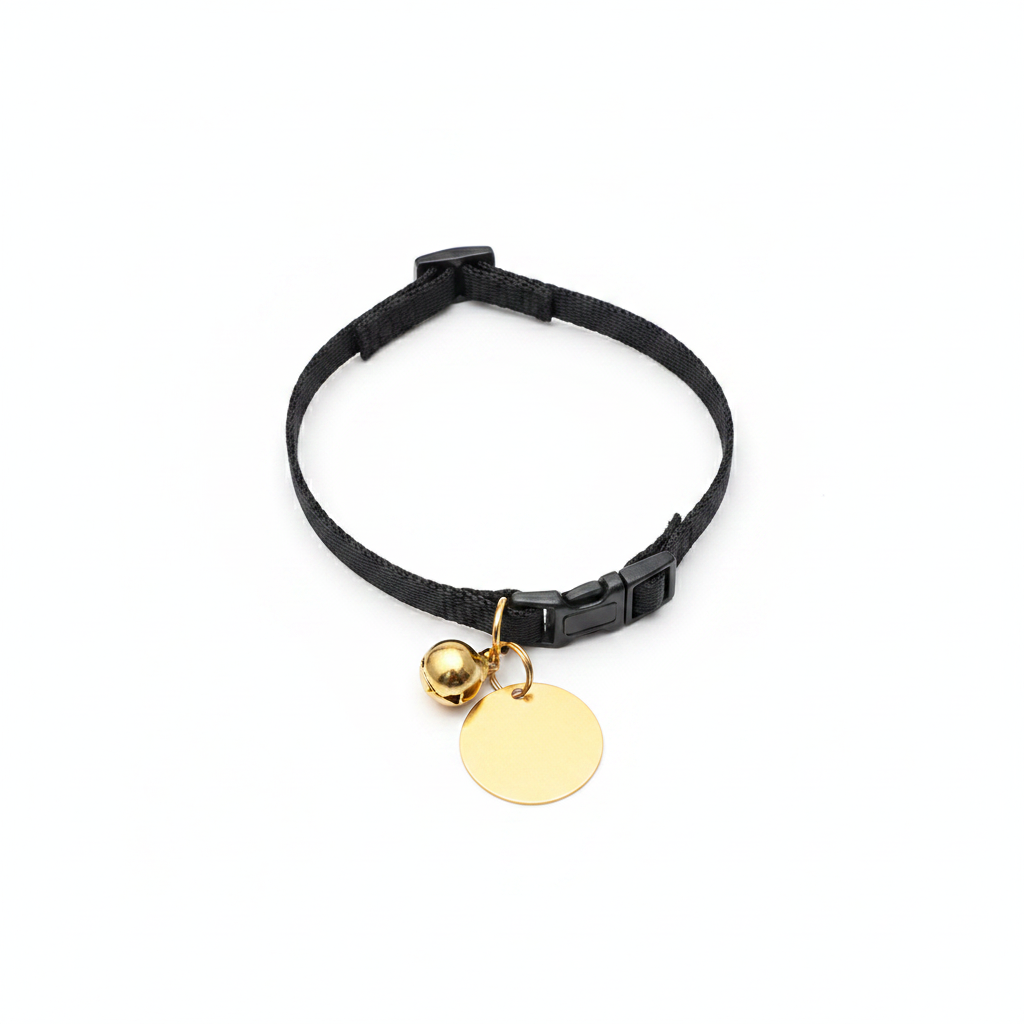 Black cat collar with gold bell and ID tag flat lay on white background