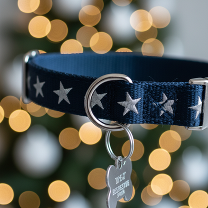 Close-up detail of star pattern and metal D-ring on dog collar