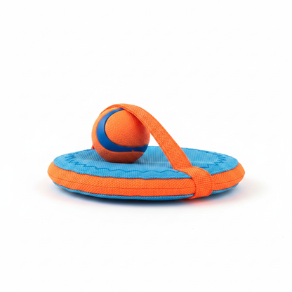 Side profile view of dog frisbee disc and ball on white background