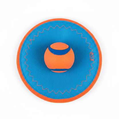 Blue and orange dog frisbee with ball, top-down view on white background